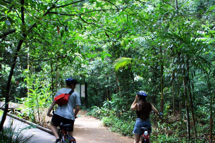 Couple pausing to enjoy the subtropical rainforest ambiance on the Maleny Magic e-Bike Tour.
