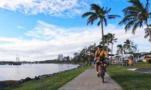 a man riding a bicycle next to a palm tree