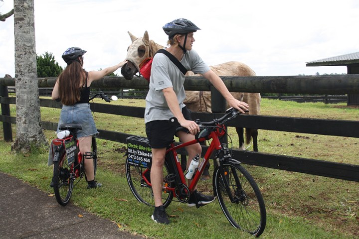 Couple on Maleny Magic e-bike tour greeting a friendly horse along the cycle pathway.