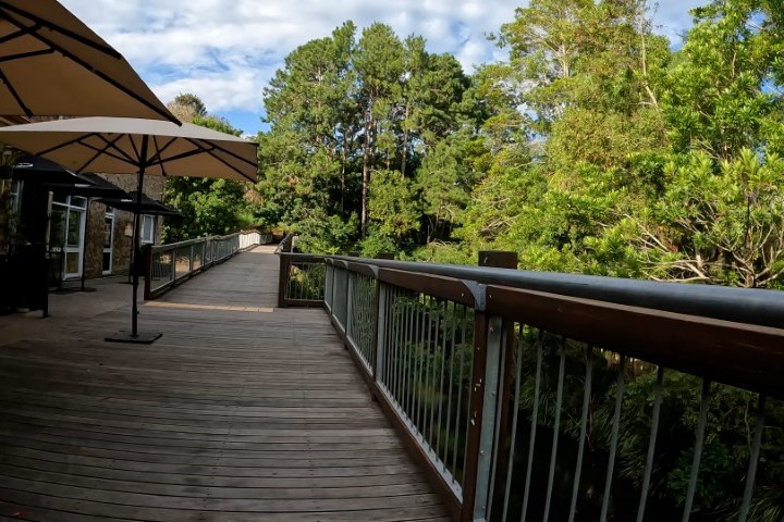 View of Riverside Centre boardwalk along Obi Obi Creek, a scenic route on the Maleny Magic e-Bike Tour.