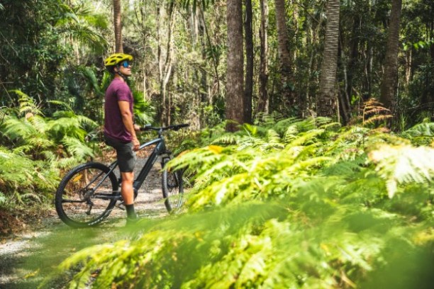 a person riding a bicycle on a trail in a forest
