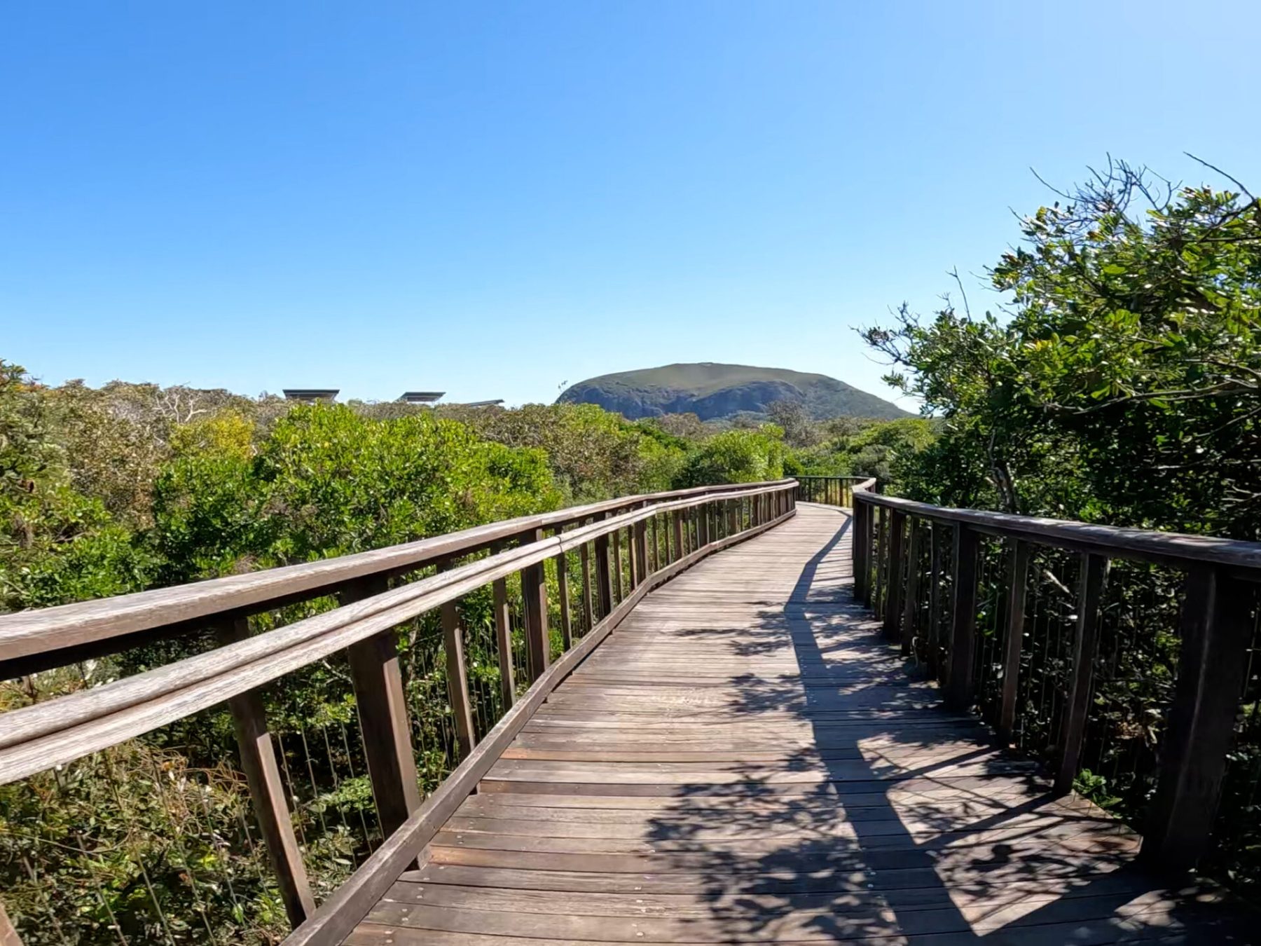 Breathtaking View of Mount Coolum from the Boardwalk Lookout
