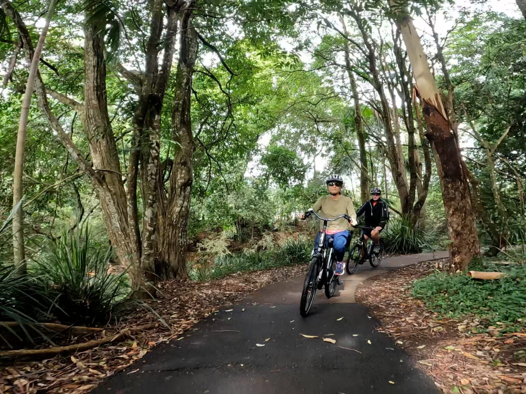 Husband and wife riding EcoTekk e-bikes at the start of the Maleny Magic Tour on the Maleny Trail, navigating through lush rainforest along Obi Obi Creek in the Sunshine Coast Hinterland.