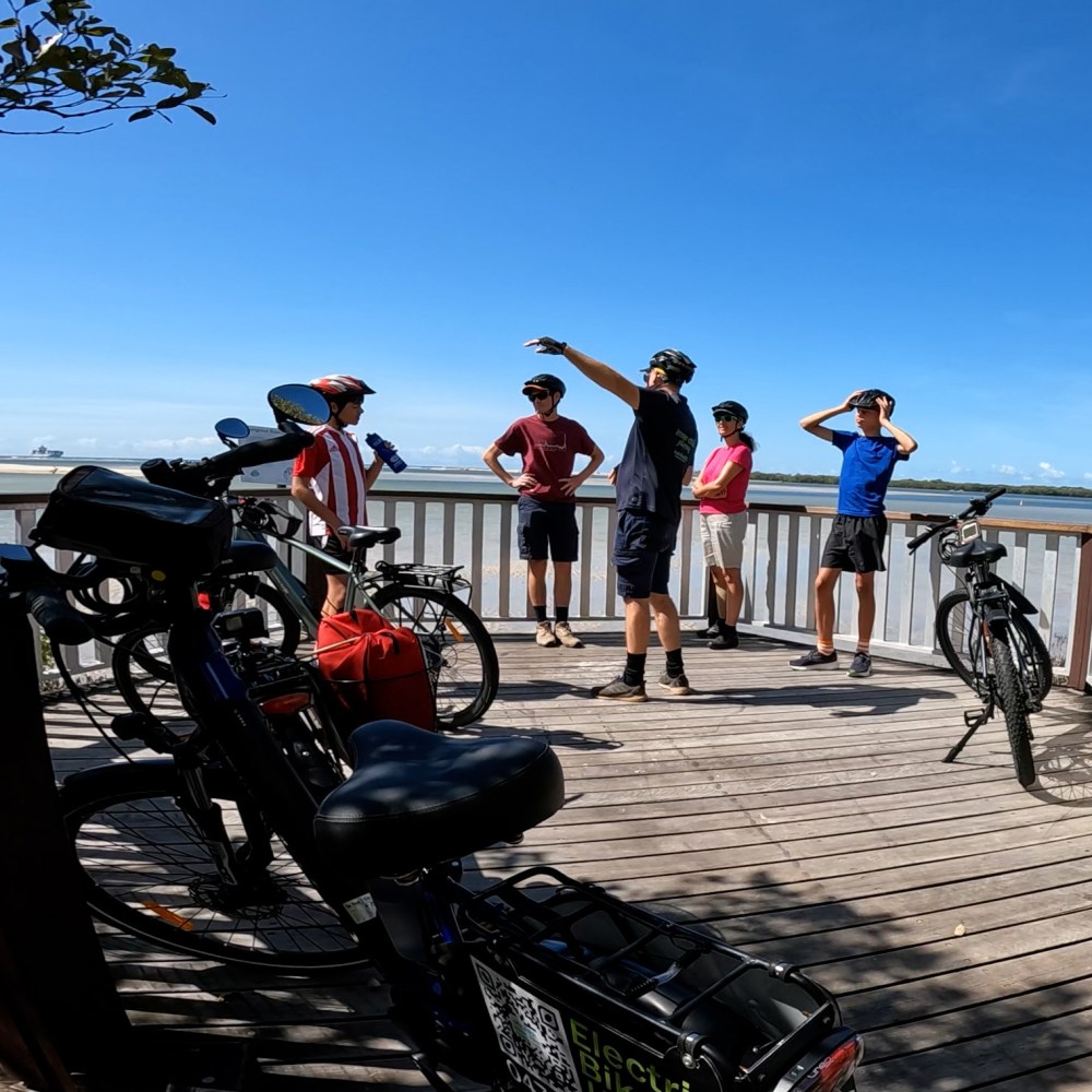 Family of four, Mum, Dad, and two teenage boys, enjoying the ecoTekk Sunshine Coast Golden Beach e-bike tour, stopped at Monash Park Mangrove Boardwalk with views of Pumicestone Passage as the marine biologist guide discusses coastal ecosystems.