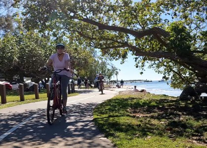 a man riding a bicycle next to a tree