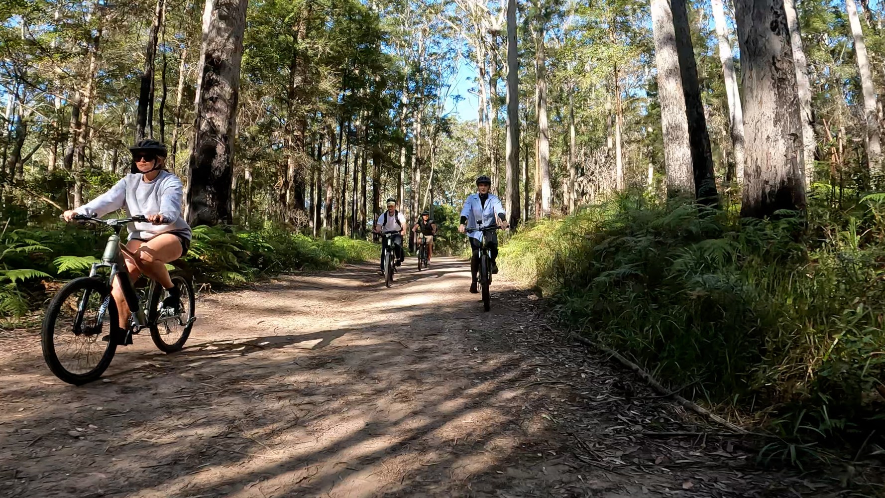 A group of riders on ecoTekkSC electric mountain bikes (e-MTB) on a trail at Mapleton National Park, enjoying a beautiful day surrounded by tall trees.