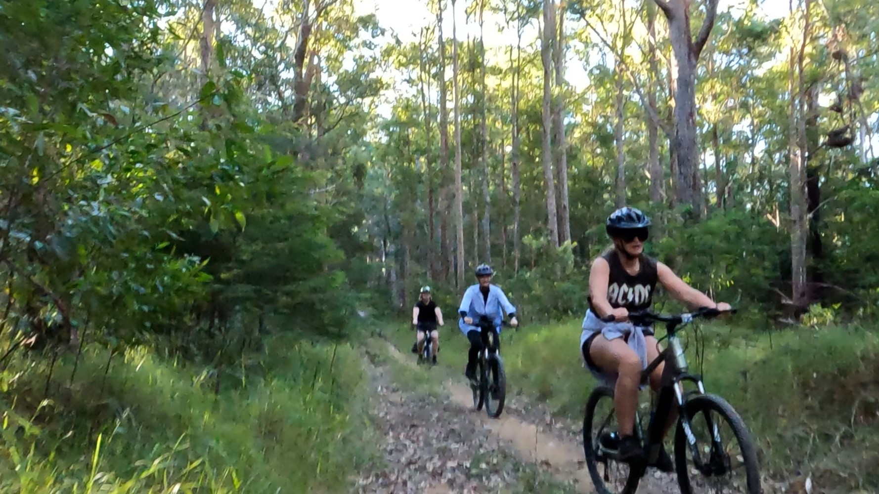 A group of people on ecoTekkSC electric mountain bikes (e-MTB) exploring Mapleton National Park, riding through tall trees in the Sunshine Coast hinterland.
