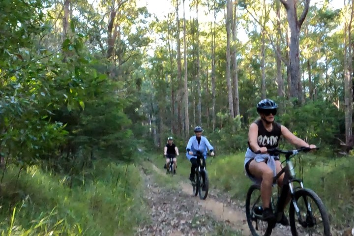A group of people on ecoTekkSC electric mountain bikes (e-MTB) exploring Mapleton National Park, riding through tall trees in the Sunshine Coast hinterland.