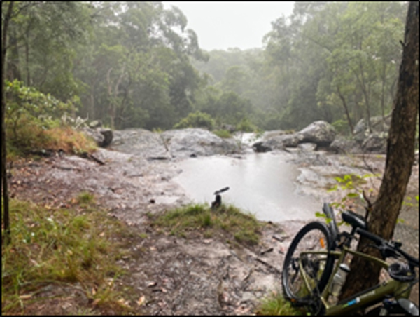 Velectrix Ascent 29" Pulse e-MTB leaning against a tree at the top of a small waterfall, overlooking the forest of Parkland Conservation Park and State Forest MTB trails, with a pool of water in the background.