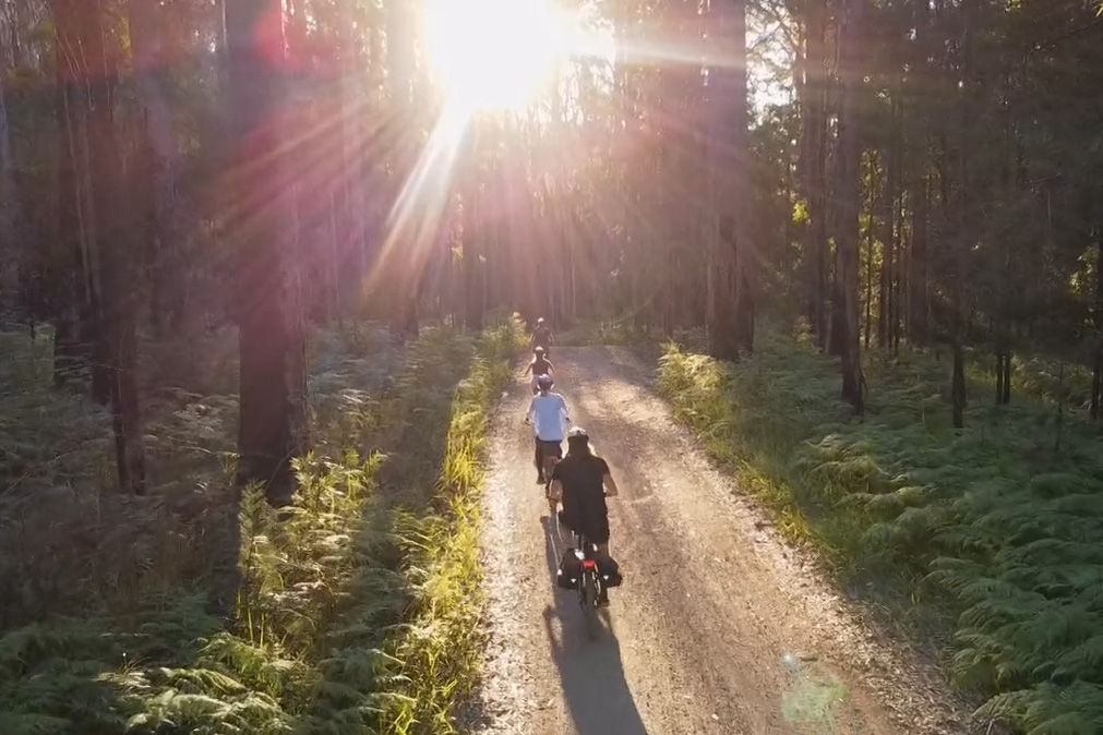 Group of e-MTB riders on the Mapleton National Park Oaky Creek Lookout Trail, riding into the sunset among tall eucalypt trees, using EcoTekk Sunshine Coast e-MTBs.