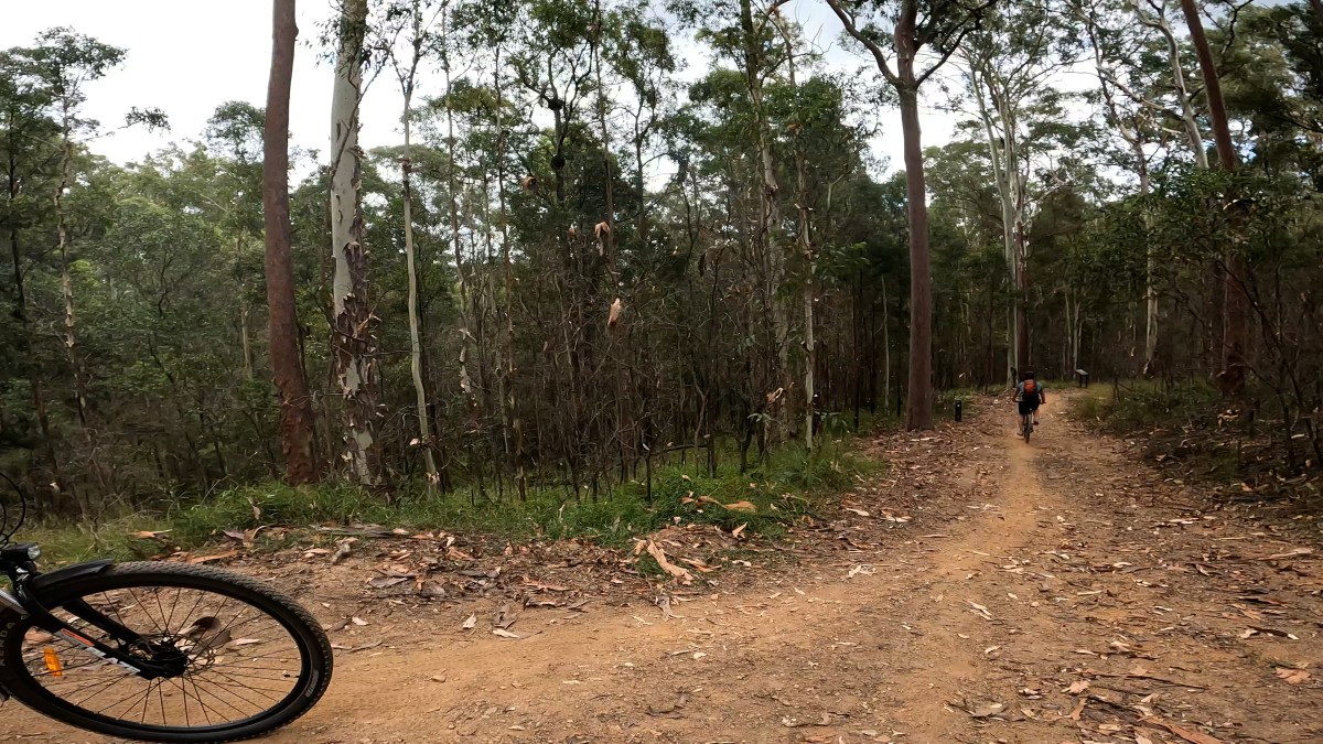 MTB rider leading his girlfriend and her daughter downhill on Cooroora Trail during their first e-MTB ride back to Pomona.