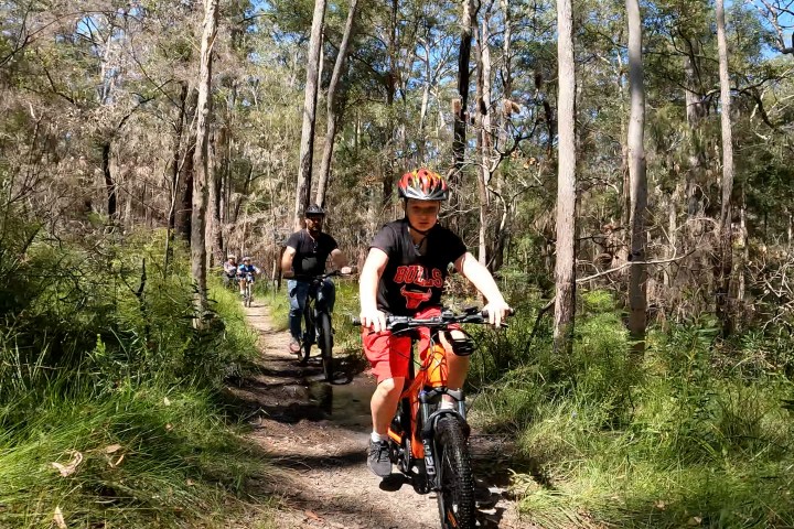 Father and son riding EcoTekk Sunshine Coast e-MTBs along the Ferny Forest Trail, enjoying a scenic and fun outdoor adventure.