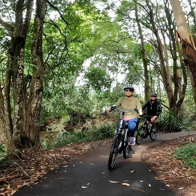 Riders on ecoTekk e-bikes along Obi Obi Creek Maleny trail, surrounded by lush rainforest and birdlife